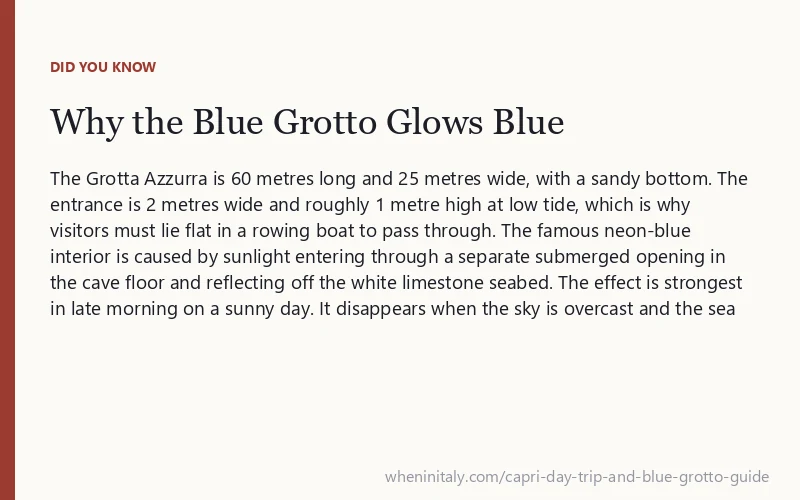Why the Blue Grotto Glows Blue: The Grotta Azzurra is 60 metres long and 25 metres wide, with a sandy bottom.