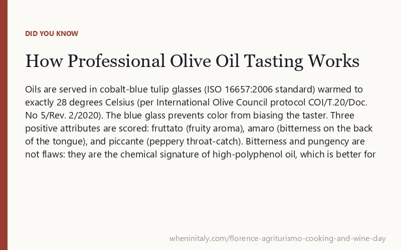 How Professional Olive Oil Tasting Works: Oils are served in cobalt-blue tulip glasses (ISO 16657:2006 standard) warmed to exactly 28 degrees Celsius (per International Olive Council protocol COI/T.