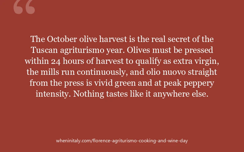 The October olive harvest is the real secret of the Tuscan agriturismo year. Olives must be pressed within 24 hours of harvest to qualify as extra vir...