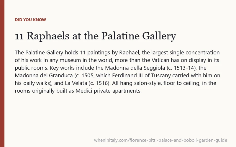 11 Raphaels at the Palatine Gallery: The Palatine Gallery holds 11 paintings by Raphael, the largest single concentration of his work in any museum in the world, more than the Vatican has on display in its public rooms.