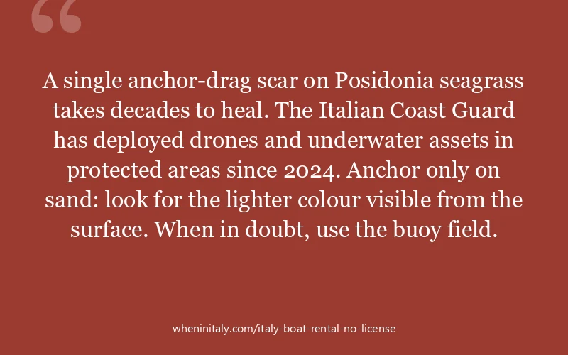 A single anchor-drag scar on Posidonia seagrass takes decades to heal. The Italian Coast Guard has deployed drones and underwater assets in protected ...
