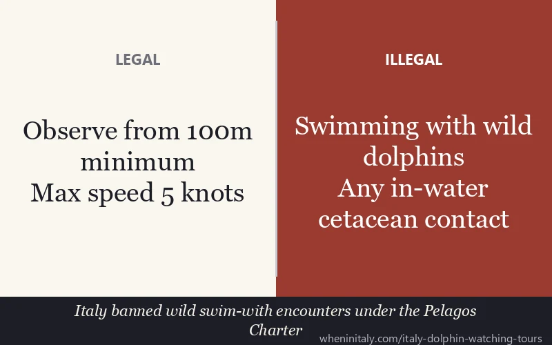 Legal vs illegal dolphin watching Italy: Pelagos Charter rules and approach distances